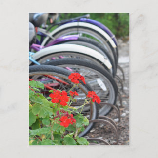 Geraniums en fietsen briefkaart