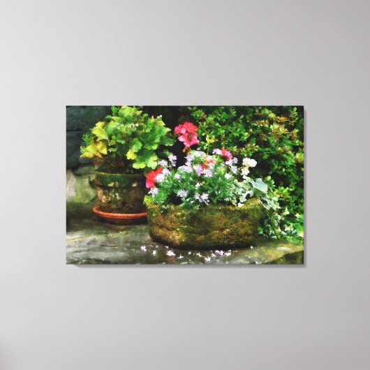 Geraniums en Lavendelbloemen Canvas Afdruk (Voorkant)