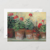 Geraniums in Pots Briefkaart (Voorkant / Achterkant)