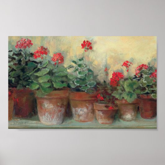 Geraniums in Pots Poster (Voorkant)