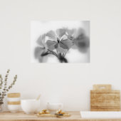 Geraniums in zwart-wit poster (Keuken)