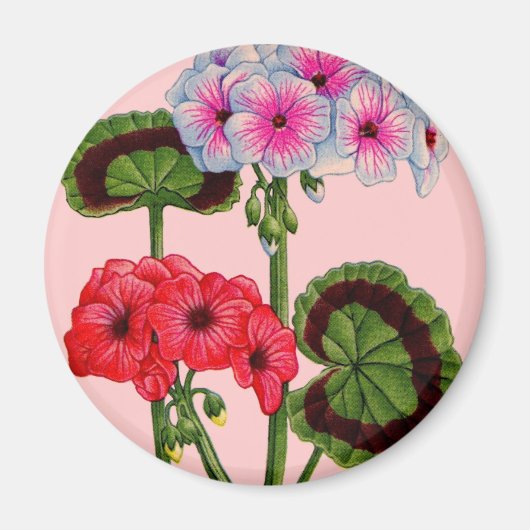 geraniums magneet (Voorkant)