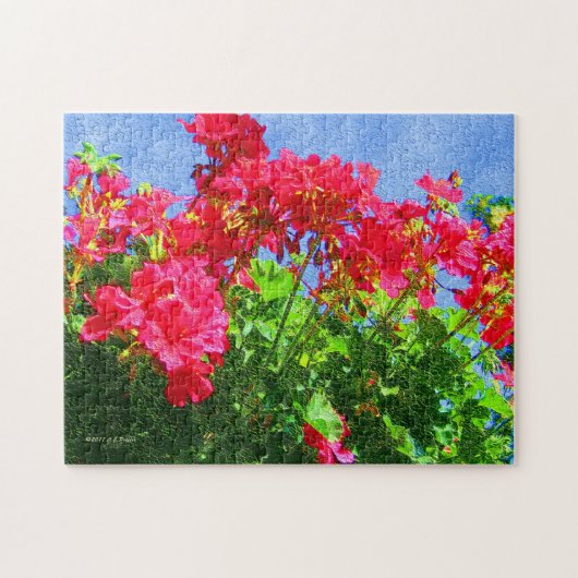 "Geraniums" puzzel (Horizontaal)