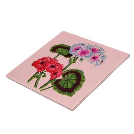 geraniums tegeltje (Zijkant)