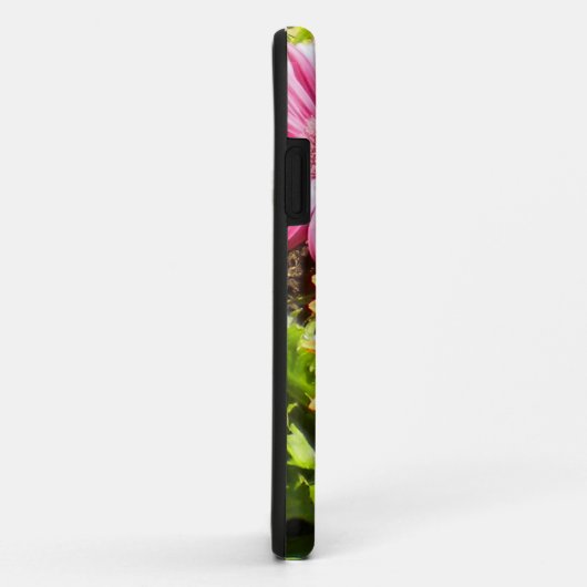 Gerber Daisies iPhone 5 coque (Dos/Droite)