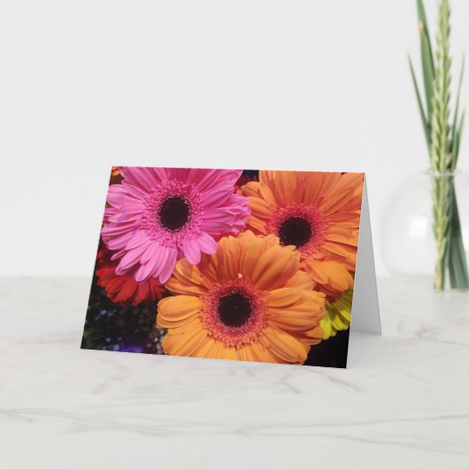 Gerber Daisies Jeux de cartes orange rose (Devant)