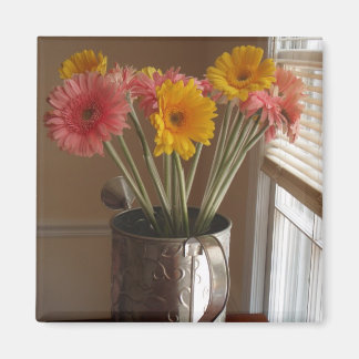 Gerber Daisies Magneet
