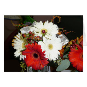 Gerber Daisy