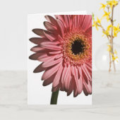 Gerber Daisy #2 Kaart (Gele Bloem)