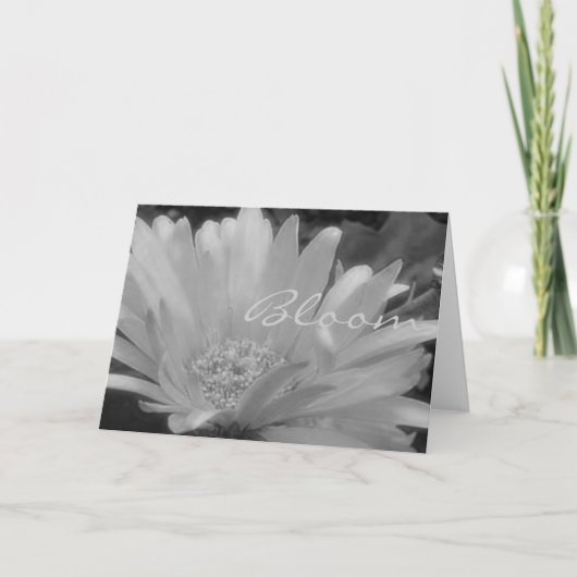 Gerber Daisy Bloom Card Kaart (Voorkant)