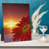 Gerber Daisy en sunset Fotoplaat (Zijkant)