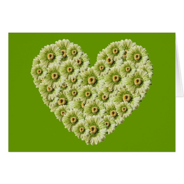Gerber Daisy Heart (Devant horizontal)