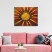 Gerber Daisy in Black Vignette Canvas Afdruk (Insitu (Woonkamer))