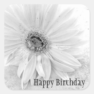 Gerber Daisy in zwart-wit Gelukkige Verjaardag Vierkante Sticker