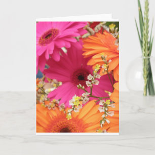 Gerber Daisy Kaart