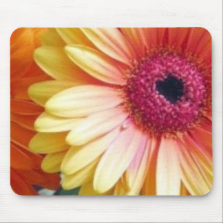 Gerber Daisy Mousepad Muismat
