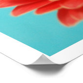 Gerber Daisy Poster (Hoek)