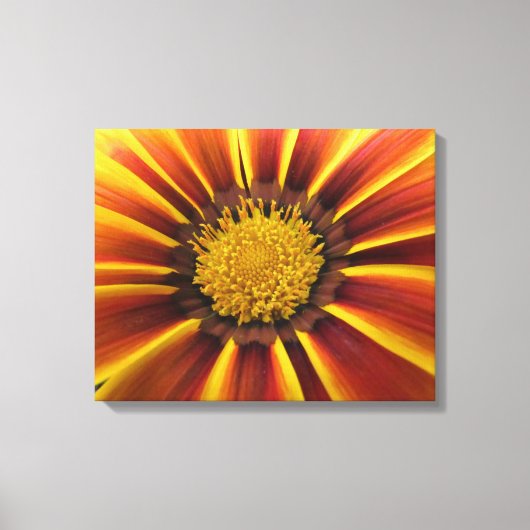 Gerber Daisy Up Close en Personal Canvas Afdruk (Voorkant)