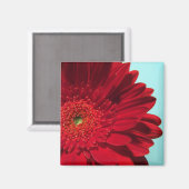 gerber magneet (Voorkant / Achterkant)