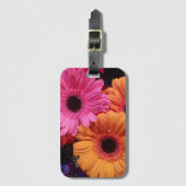Gerber marguerites rose et orange étiquette bagage (Devant Vertical)
