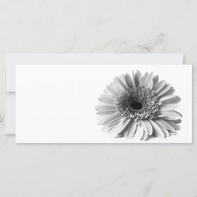 Gerbera (Voorkant)