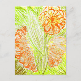 Gerbera and Aspidistra elatior, Briefkaart