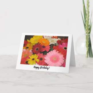 Gerbera Birthday Kaart