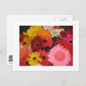 Gerbera bloemen briefkaart (Voorkant / Achterkant)