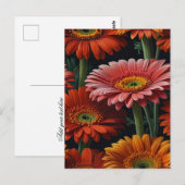 gerbera bloemen briefkaart (Voorkant / Achterkant)