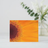 Gerbera Briefkaart (Staand voorkant)