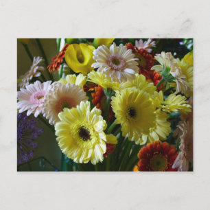 Gerbera Briefkaart