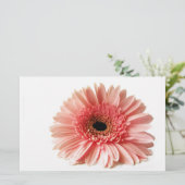 Gerbera Briefpapier (Staand voorkant)