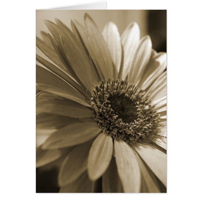 Gerbera Card (Voorkant)