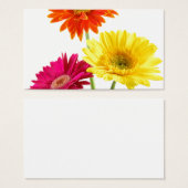 Gerbera Daisies (Devant & derrière)
