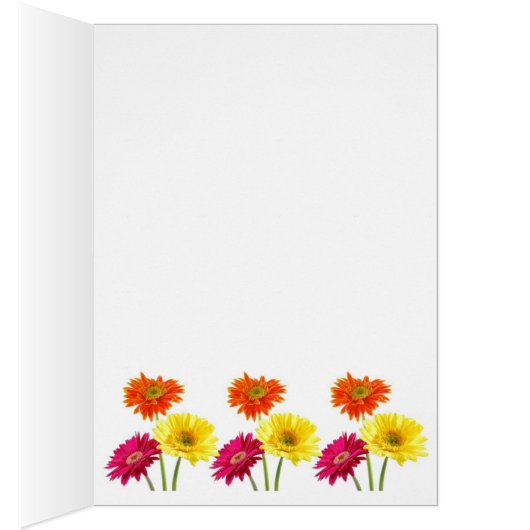 Gerbera Daisies (Intérieur (Droit))