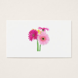 Gerbera Daisies