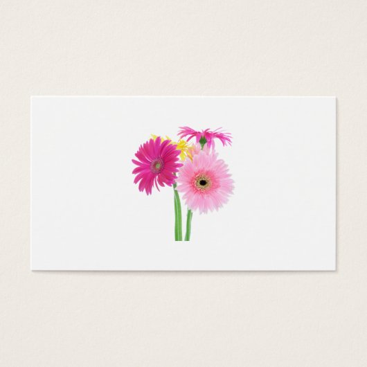 Gerbera Daisies (Devant)