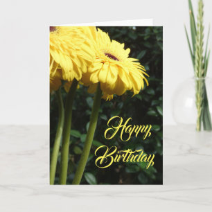 "Gerbera Daisies 1." Birthday Wenskaart Kaart
