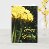 "Gerbera Daisies 1." Carte de voeux d'anniversaire (Fleur jaune)