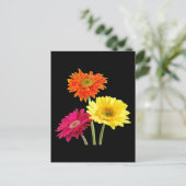 Gerbera Daisies Briefkaart (Staand voorkant)