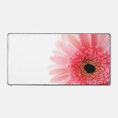 Gerbera Daisy (Recto)