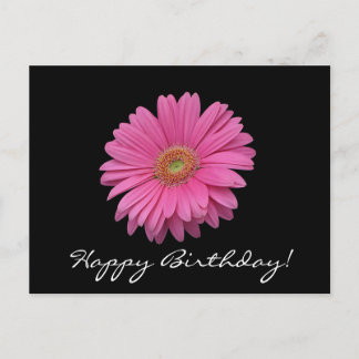 Gerbera Daisy Bonne carte postale d'anniversaire