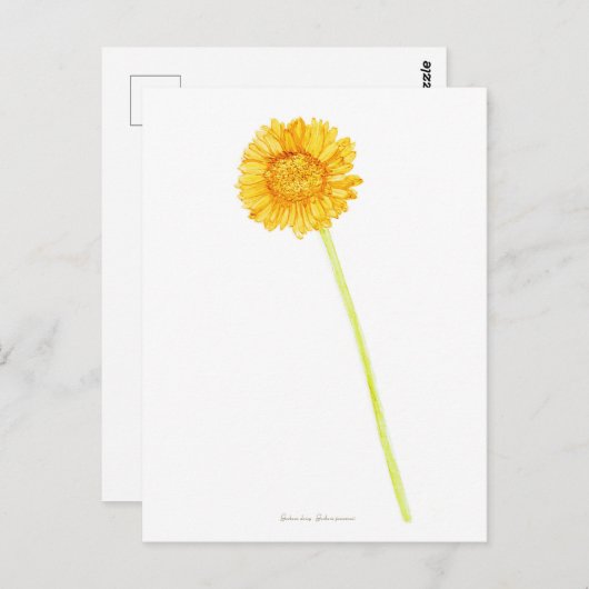 Gerbera daisy briefkaart (Voorkant / Achterkant)