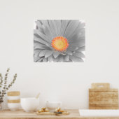 Gerbera Daisy Canvas Poster (Keuken)