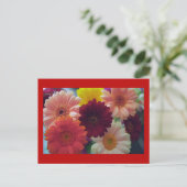 Gerbera Daisy Carte postale de l'art de la fleur (Debout devant)