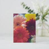 Gerbera Daisy Carte postale de l'art de la fleur (Debout devant)