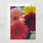 Gerbera Daisy Carte postale de l'art de la fleur (Devant / Derrière)