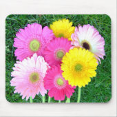 Gerbera Daisy Colors Mousepad Muismat (Voorkant)