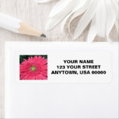 Gerbera Daisy Etiket (Insitu)