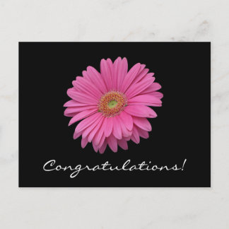 Gerbera Daisy Felicitaties Briefkaart